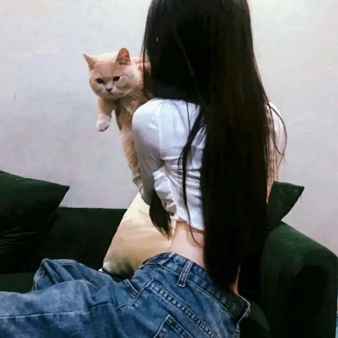性感女特工